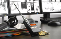 Security 350 033